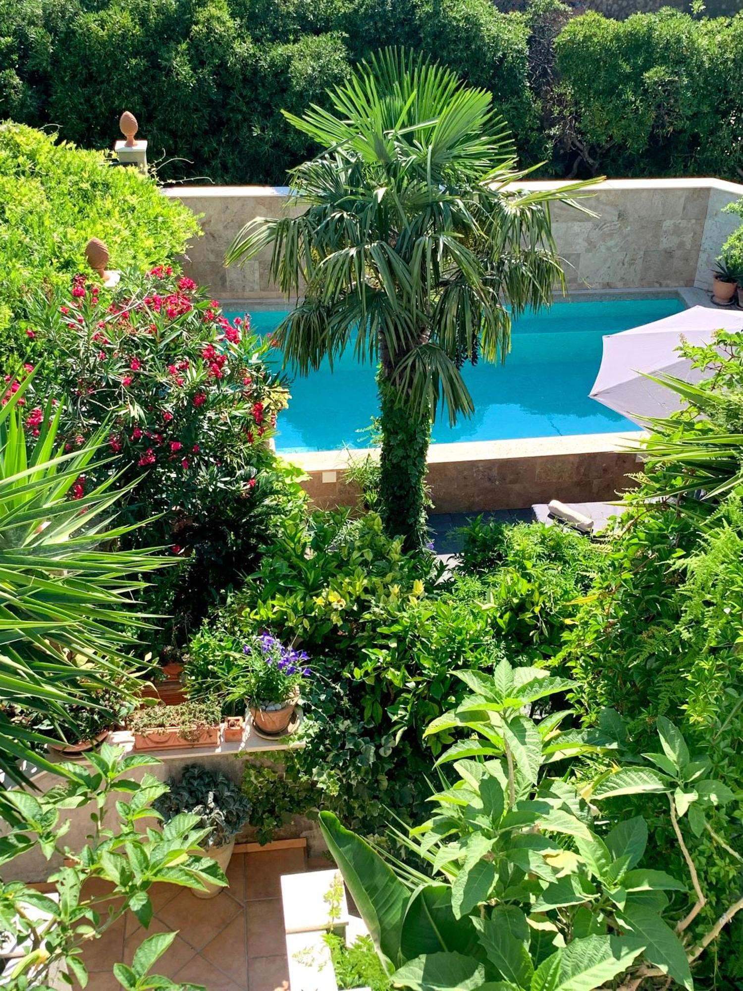 Luxury Pool Central Makarska Apartment By Maryn מראה חיצוני תמונה